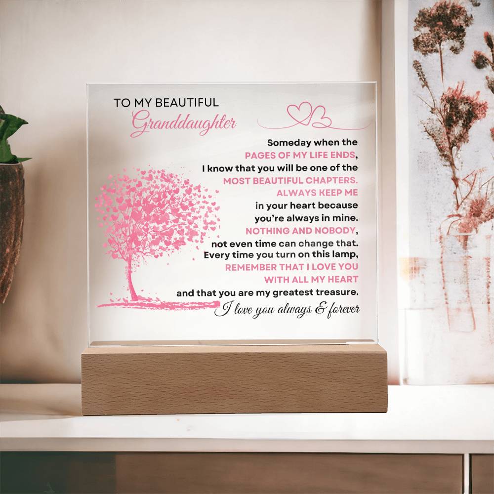 To My Beautiful Granddaughter | Acrylic
