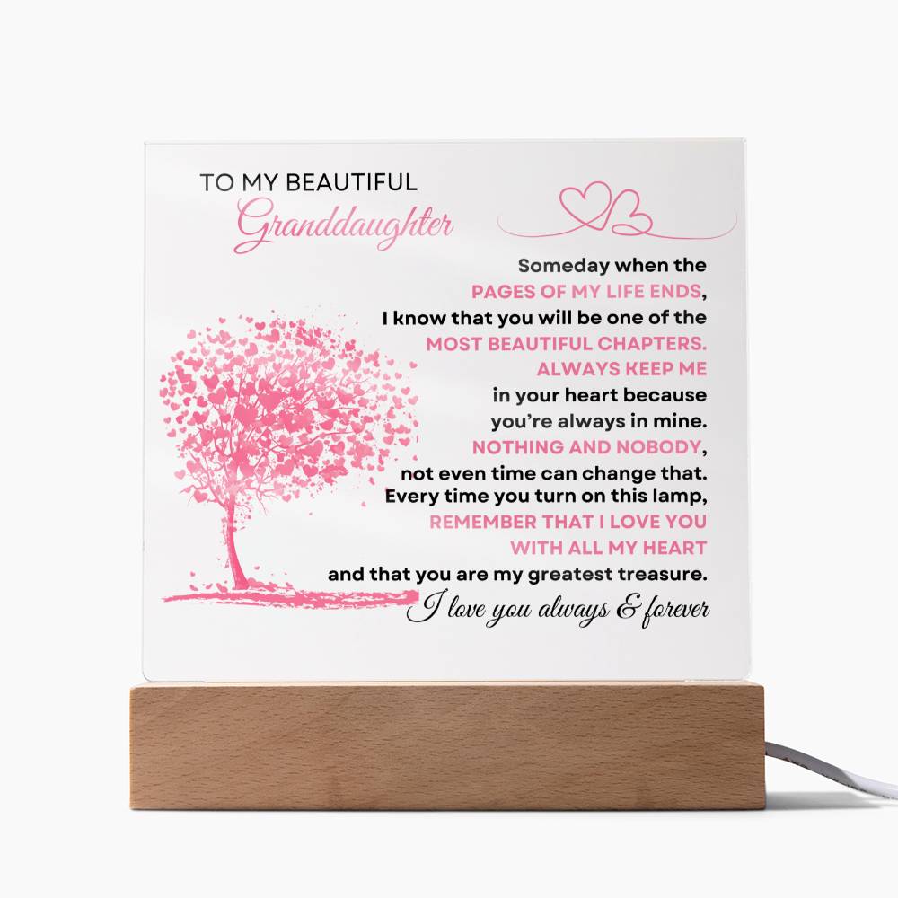 To My Beautiful Granddaughter | Acrylic
