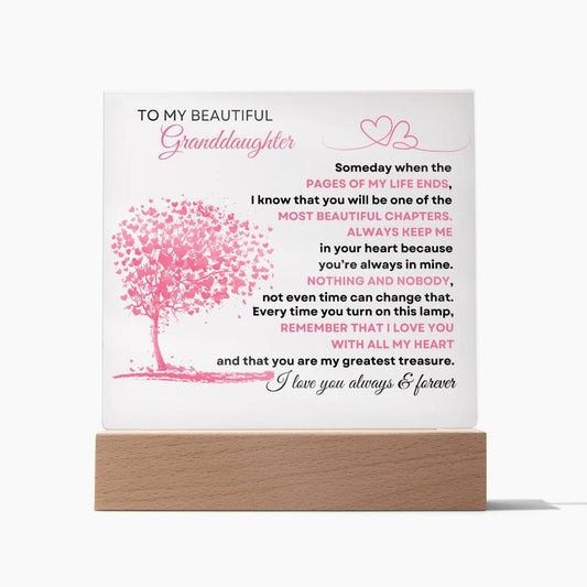 To My Beautiful Granddaughter | Acrylic
