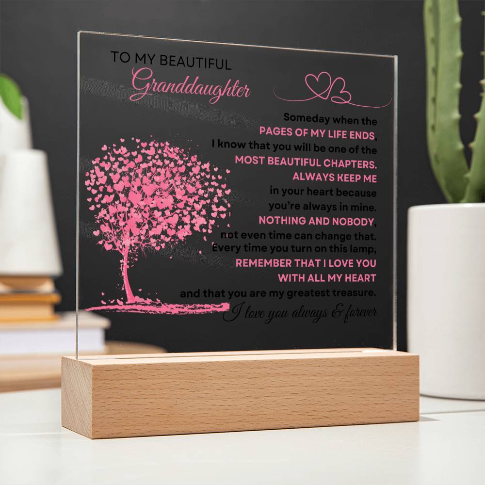 To My Beautiful Granddaughter | Acrylic